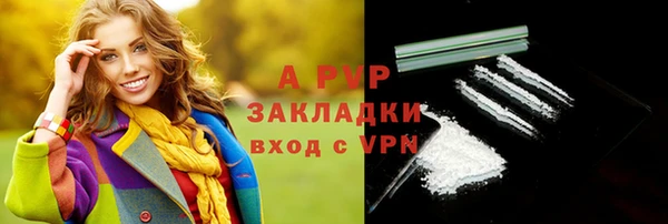 индика Алексеевка